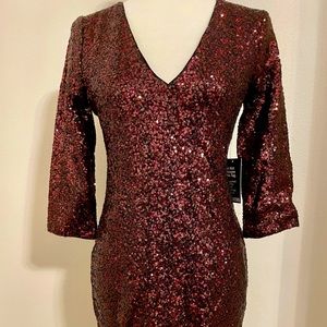 Express Burgundy Sequin Dress Size 4 Womens Bodycon Fitted V-neck Back Zip